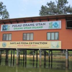 Bukit Merah Orang Utan Island Foundation