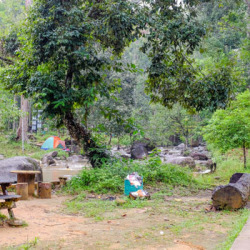 Hutan Lipur Sungai Bantang
