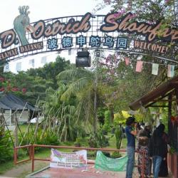 P.D Ostrich Showfarm