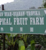 Tropical Fruit Farm