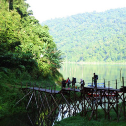 Belum Forest Reserve
