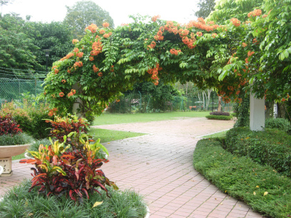Botanical Gardens 1
