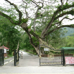Botanical Gardens