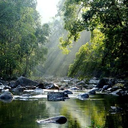 Endau Rompin 6