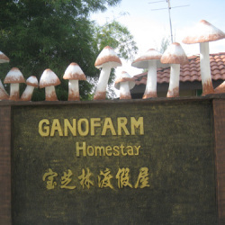 Gano Farm 3