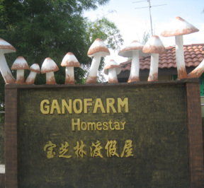 Gano Farm 3