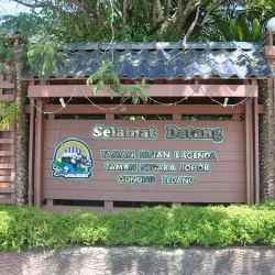 Gunung ledang 1