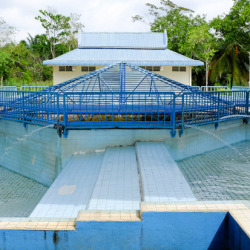 Labis Hot Spring 1