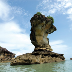 BAKO NATIONAL PARK - SARAWAK