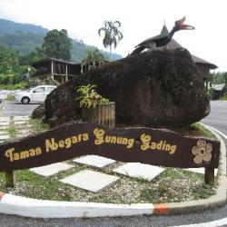 gunung gading national park
