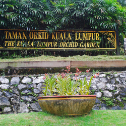 kl orchid garden