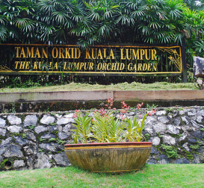 kl orchid garden
