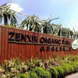 zenxin