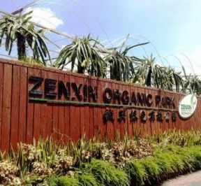 zenxin