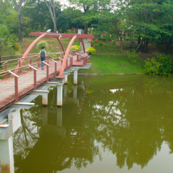 Labuan Botanical Garden 1