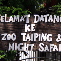 Taiping Zoo and Night Safari