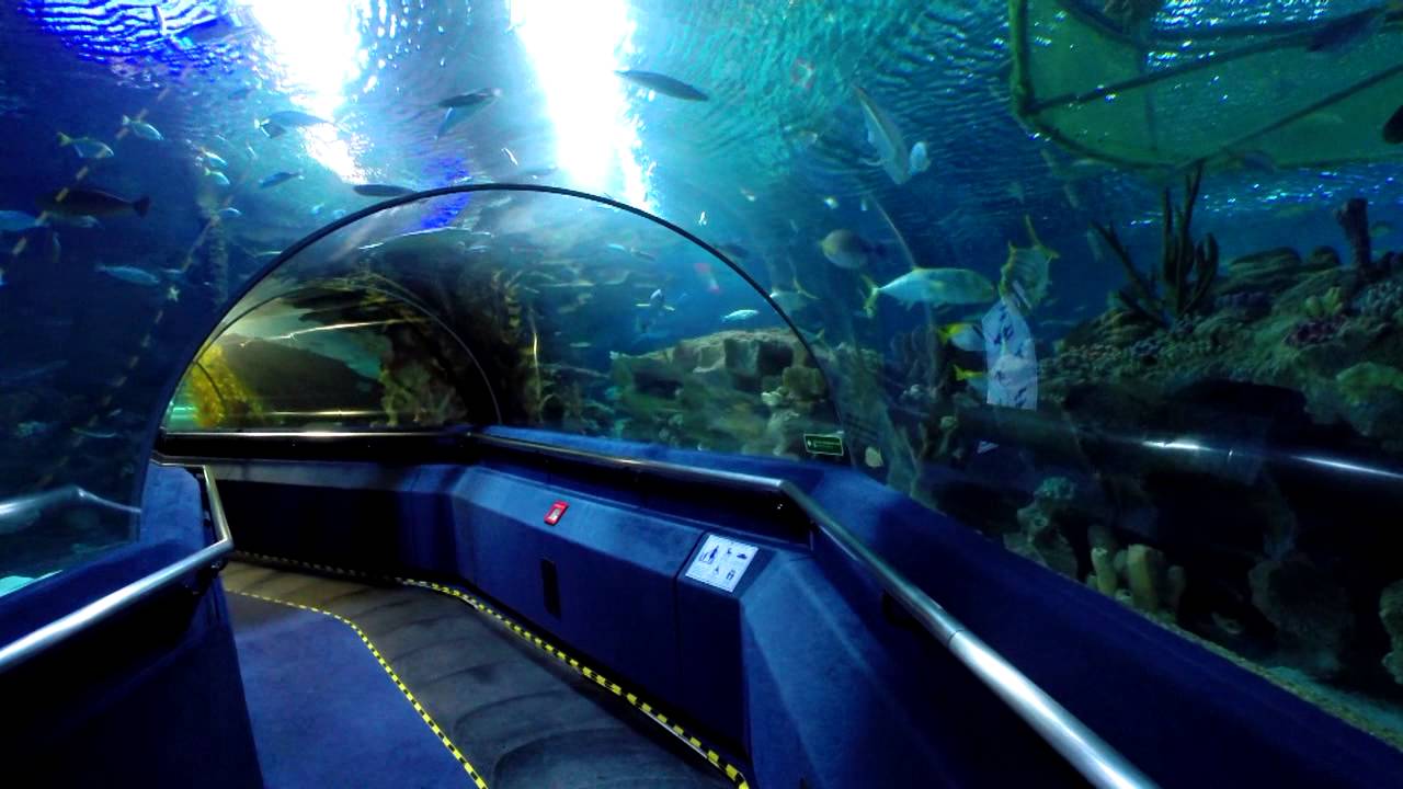 Aquaria KLCC  GoWhere Malaysia