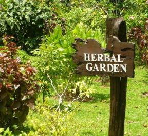 Perak Herb Garden 1