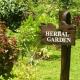 Perak Herb Garden 1